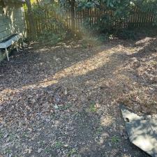 Professional Leaf Removal Services in Memphis, TN 7