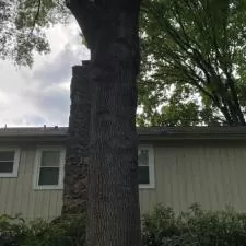 Riverwood Cove Roof Debris Removal & Washing Germantown, TN 9