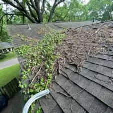 Riverwood Cove Roof Debris Removal & Washing Germantown, TN 10