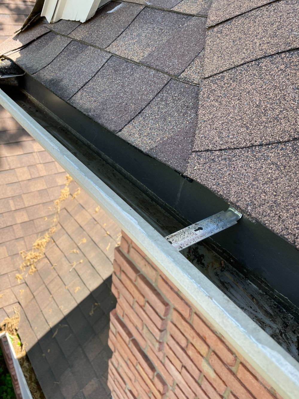Riverwood farms gutter cleaning