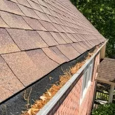 Riverwood Farms Gutter Cleaning in Cordova, TN 14