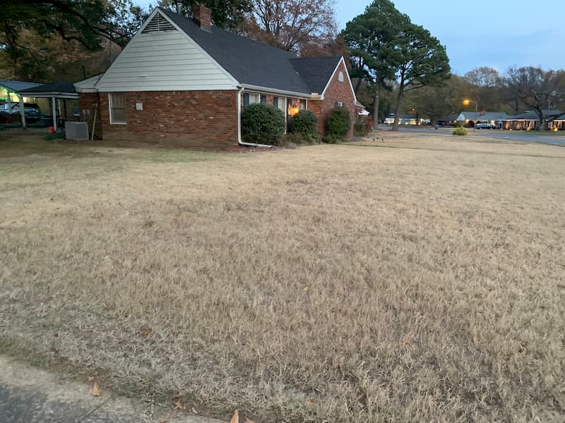 Roof cleaning and leaf removal in east memphis tn