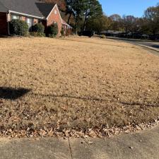 Roof Cleaning and Leaf Removal in East Memphis, TN 1