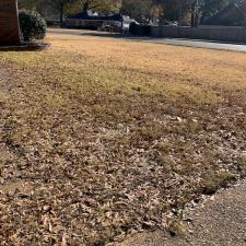 Roof Cleaning and Leaf Removal in East Memphis, TN 2