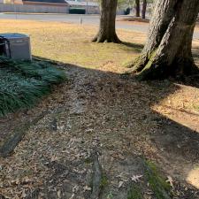 Roof Cleaning and Leaf Removal in East Memphis, TN 3