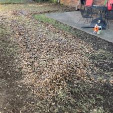 Roof Cleaning and Leaf Removal in East Memphis, TN 4