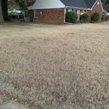 Roof Cleaning and Leaf Removal in East Memphis, TN 5