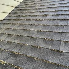 Roof Cleaning East Memphis 5