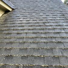 Roof Cleaning East Memphis 8