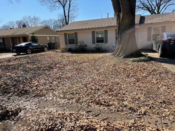 Roof debris leaf removal in memphis tn