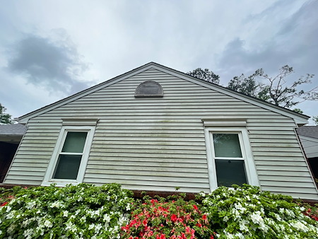 How memphis winters lead to mold mildew and algae on homes