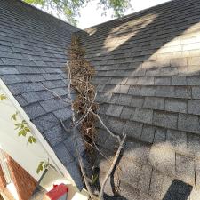 East-Memphis-Roof-Debris-Removal-1696009598 2