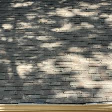 Soft-Wash-Roof-Cleaning-in-Germantown-TN 14