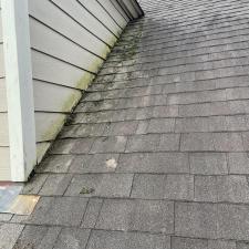 Top-Quality-Collierville-Roof-Soft-Washing 5